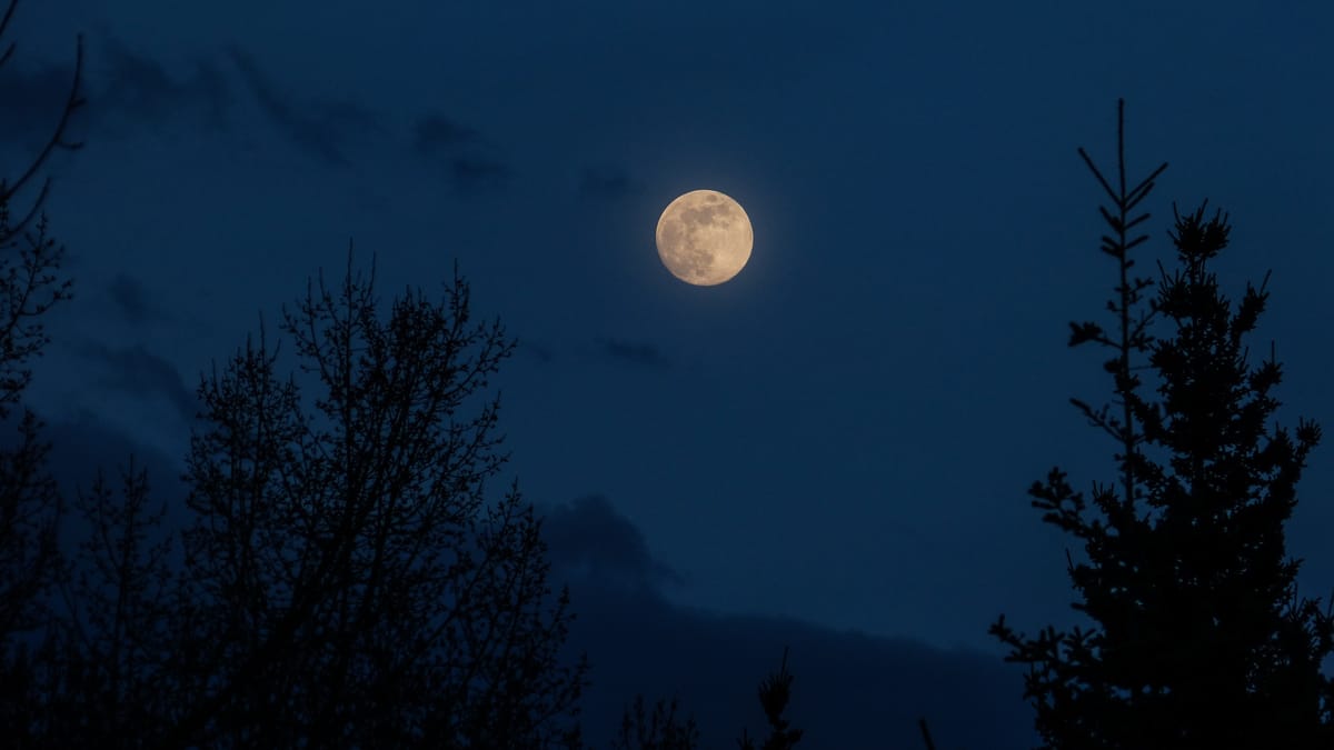 Full Moon Interlude