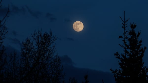 Full Moon Interlude